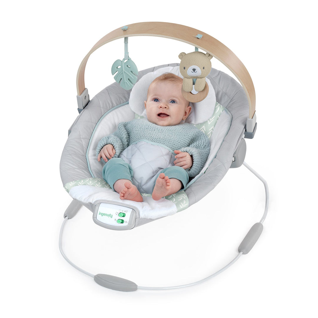 Cozy Spot™ Soothing Bouncer