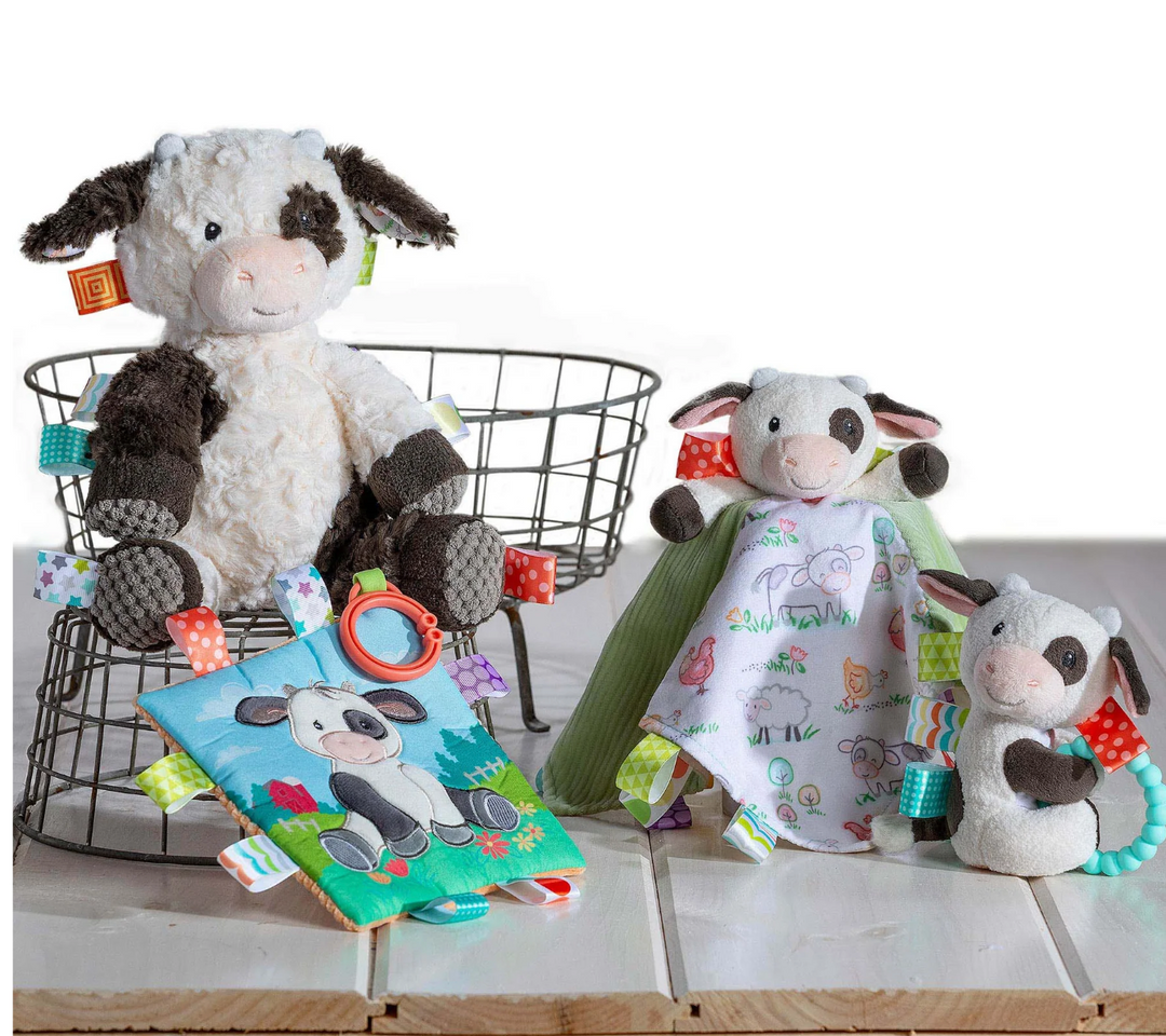 Taggies - Teether Rattle