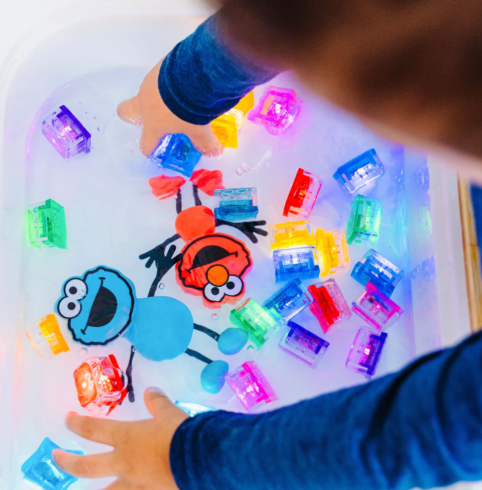 Sesame Street Water Activated Bath Toy