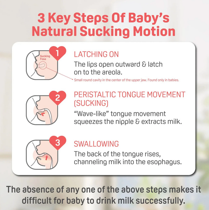 Glass Bottle with SS Nipple (0M+) - 5oz