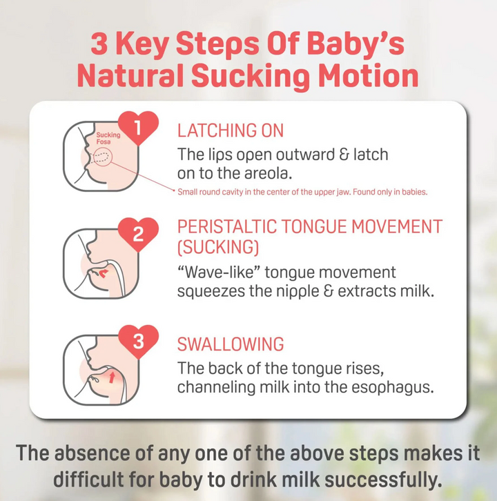 Glass Bottle with M Nipple (3M+) - 8 oz