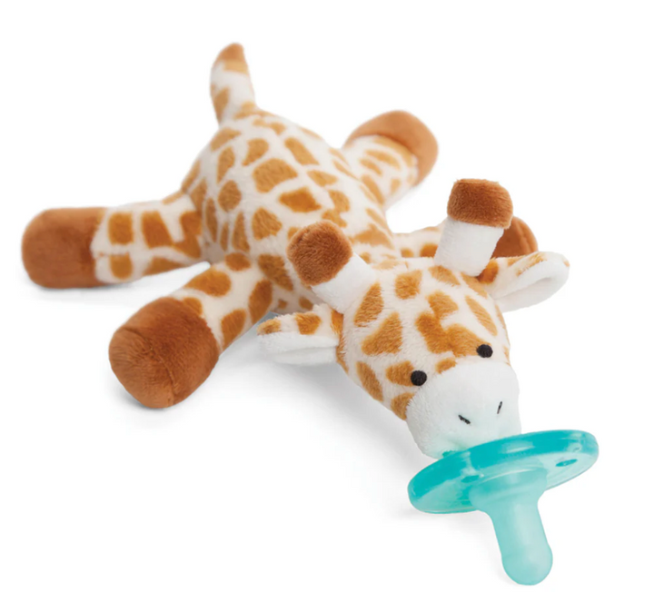 Infant Pacifier
