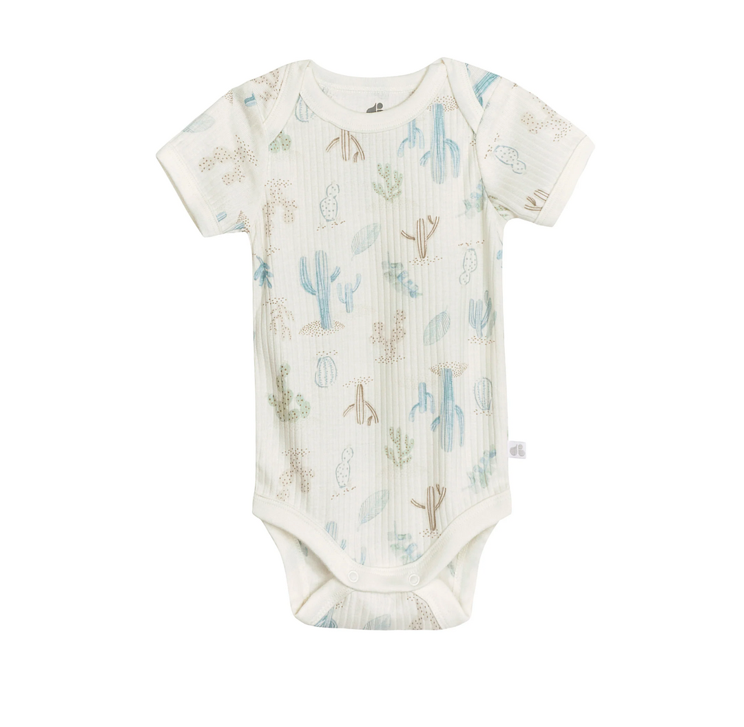 Short Sleeve Bodysuits - 3 Pack