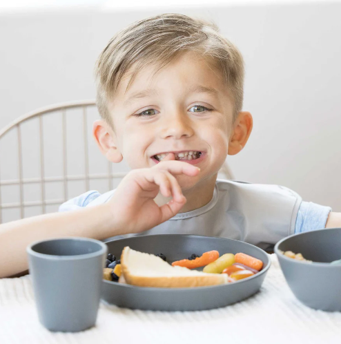 BPA-free Plastic Tableware - Plate