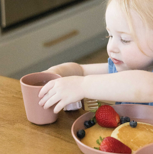 BPA-free Plastic Tableware - Plate