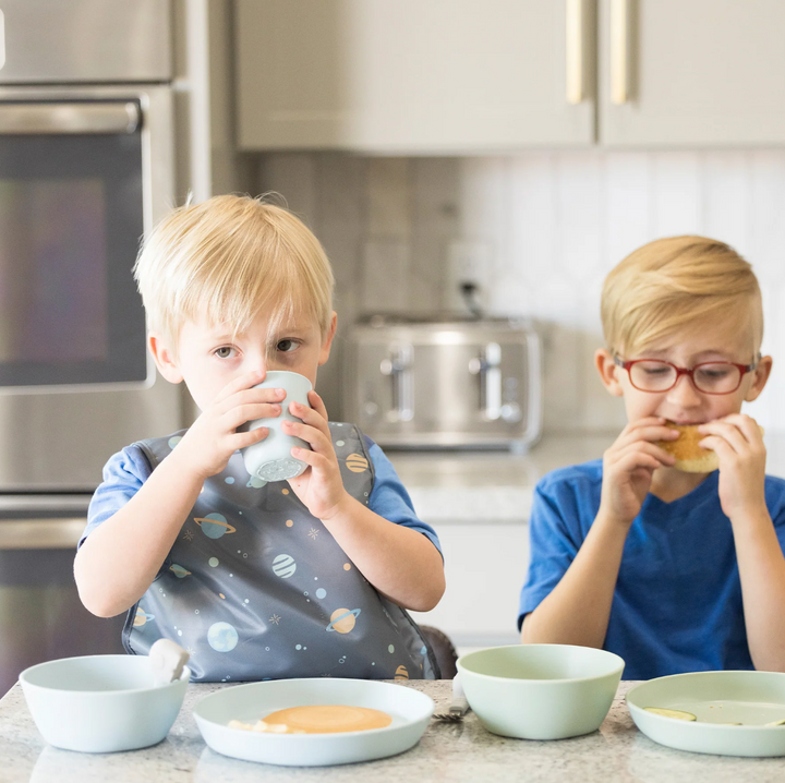 BPA-free Plastic Tableware - Bowl