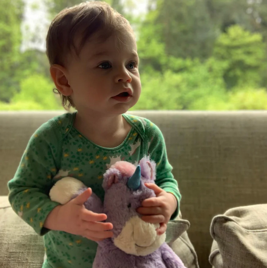 Marshmallow Zoo Animals