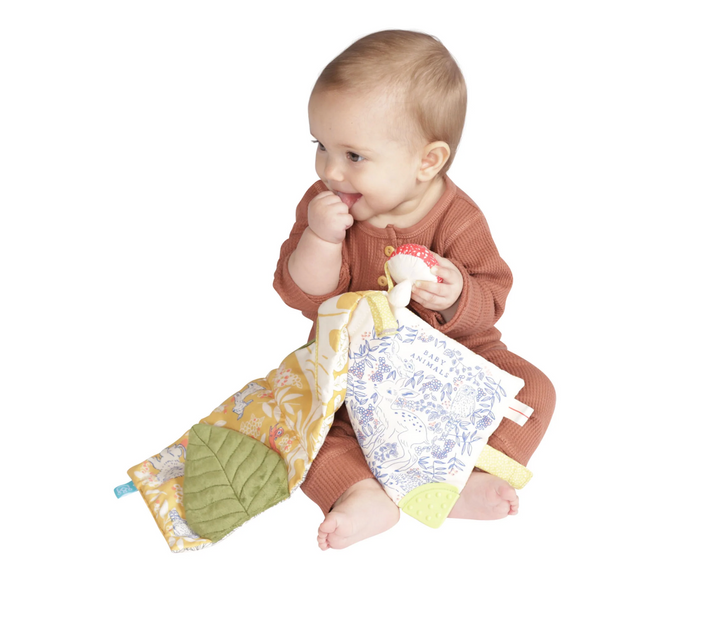 Soft Activity Crinkle Book