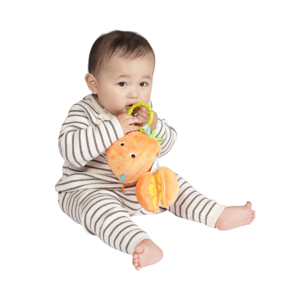 Farmer's Market - Mini Fruit