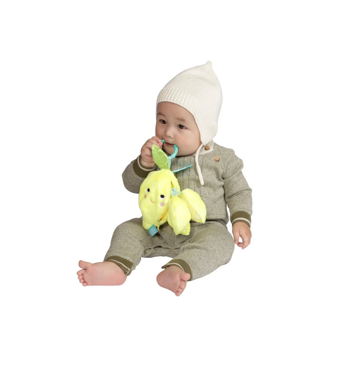 Farmer's Market - Mini Fruit