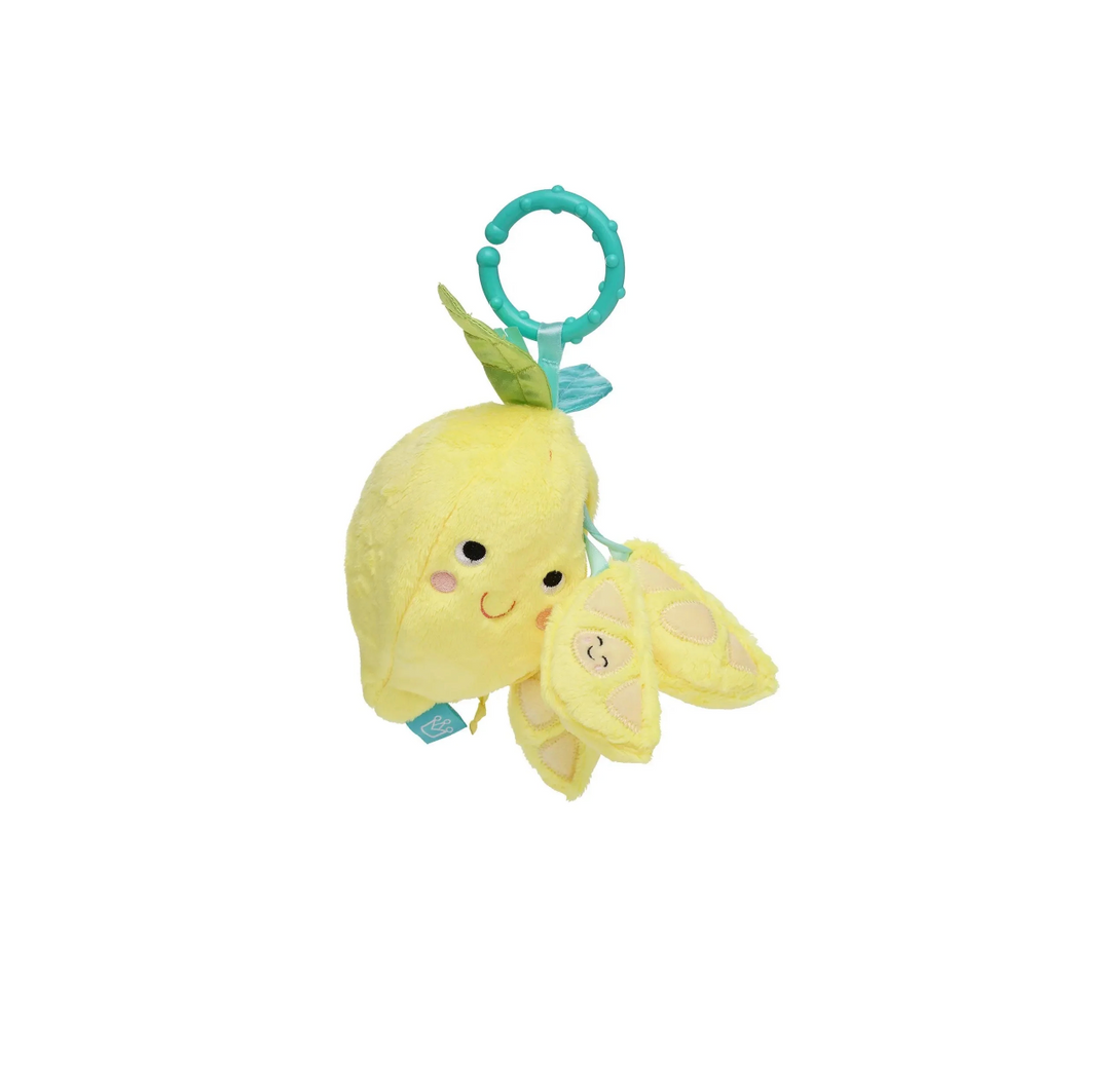 Farmer's Market - Mini Fruit