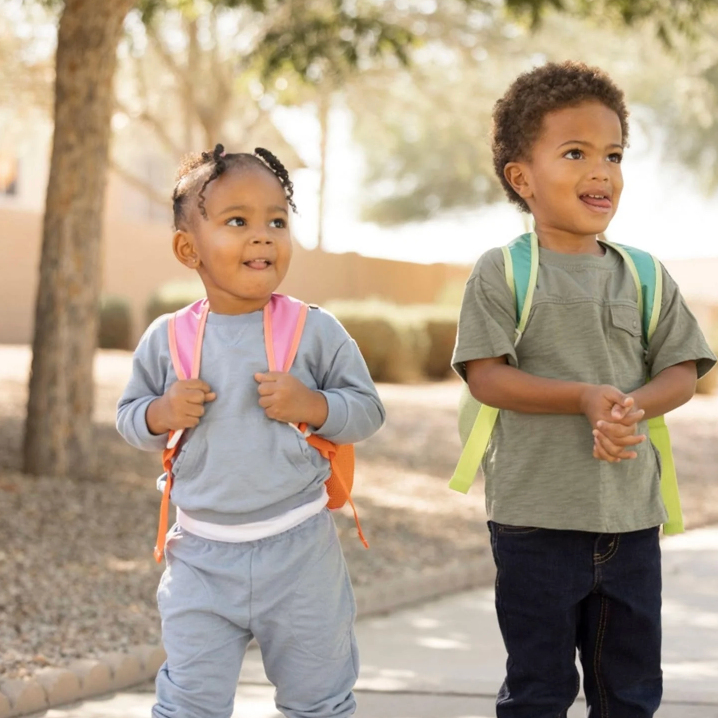Toddler Fold Up Backpack