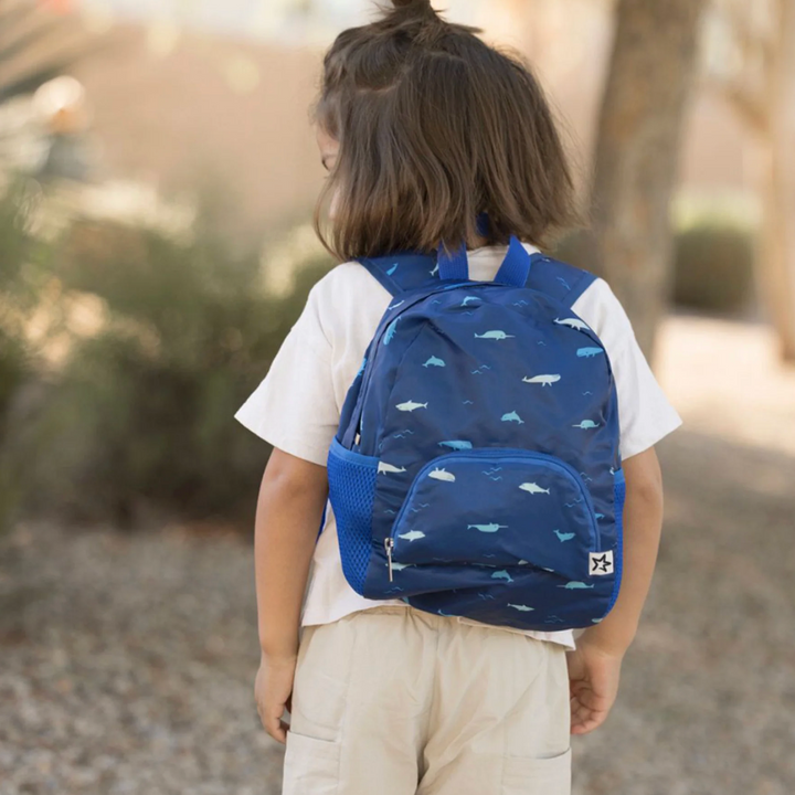 Toddler Fold Up Backpack