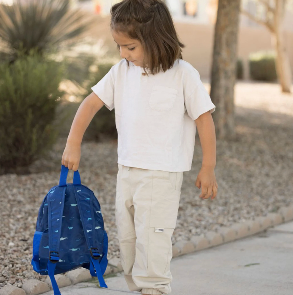 Toddler Fold Up Backpack