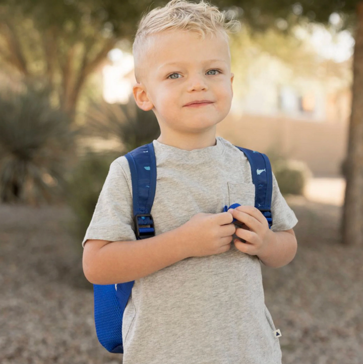 Toddler Fold Up Backpack