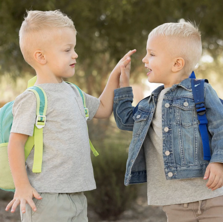 Toddler Fold Up Backpack
