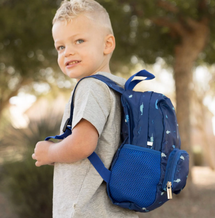 Toddler Fold Up Backpack