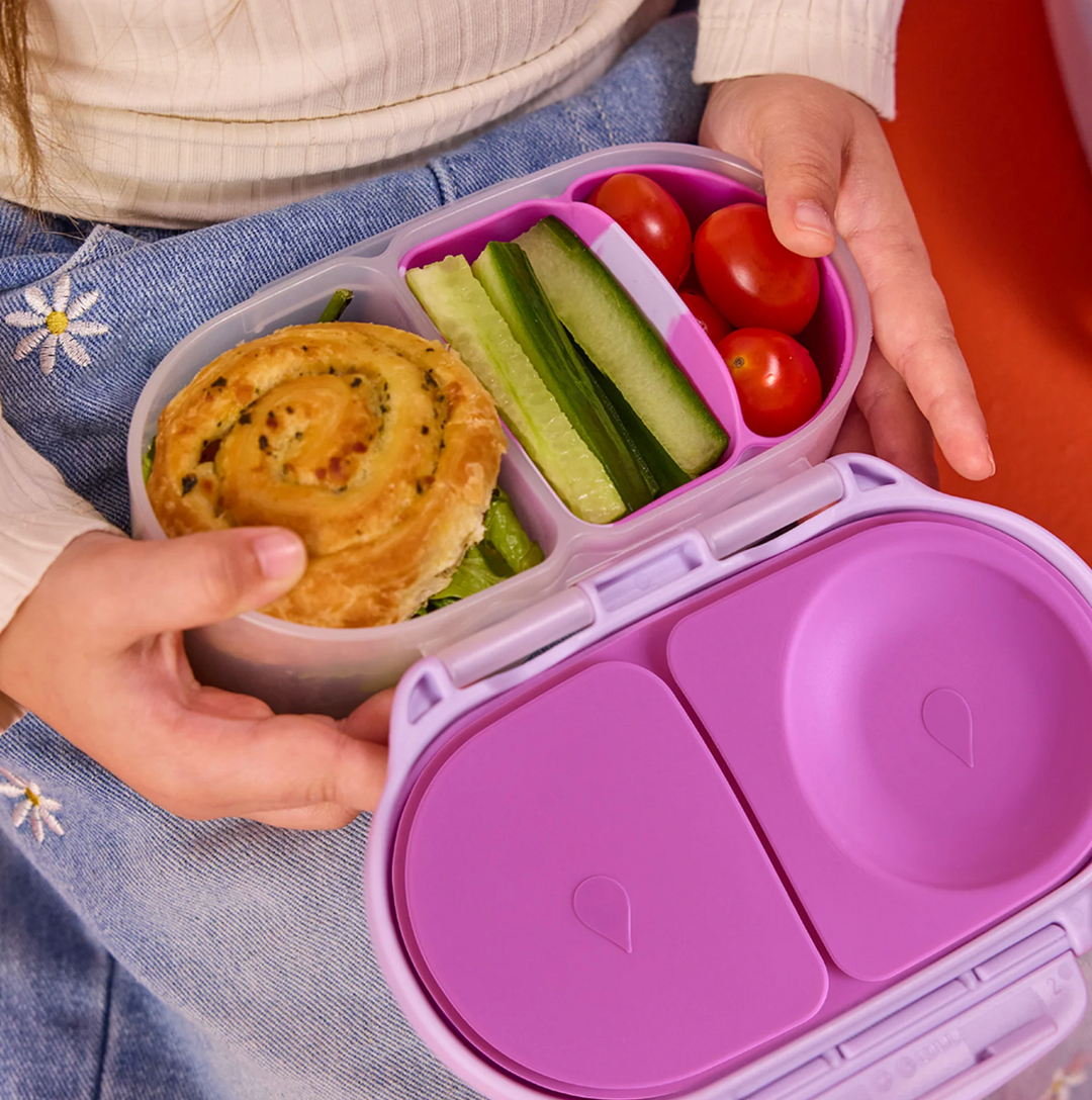 Silicone Bento Buddy - Snackbox