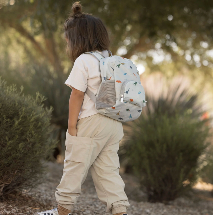 Toddler Fold Up Backpack