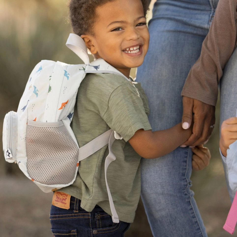 Toddler Fold Up Backpack