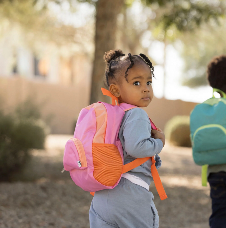 Toddler Fold Up Backpack