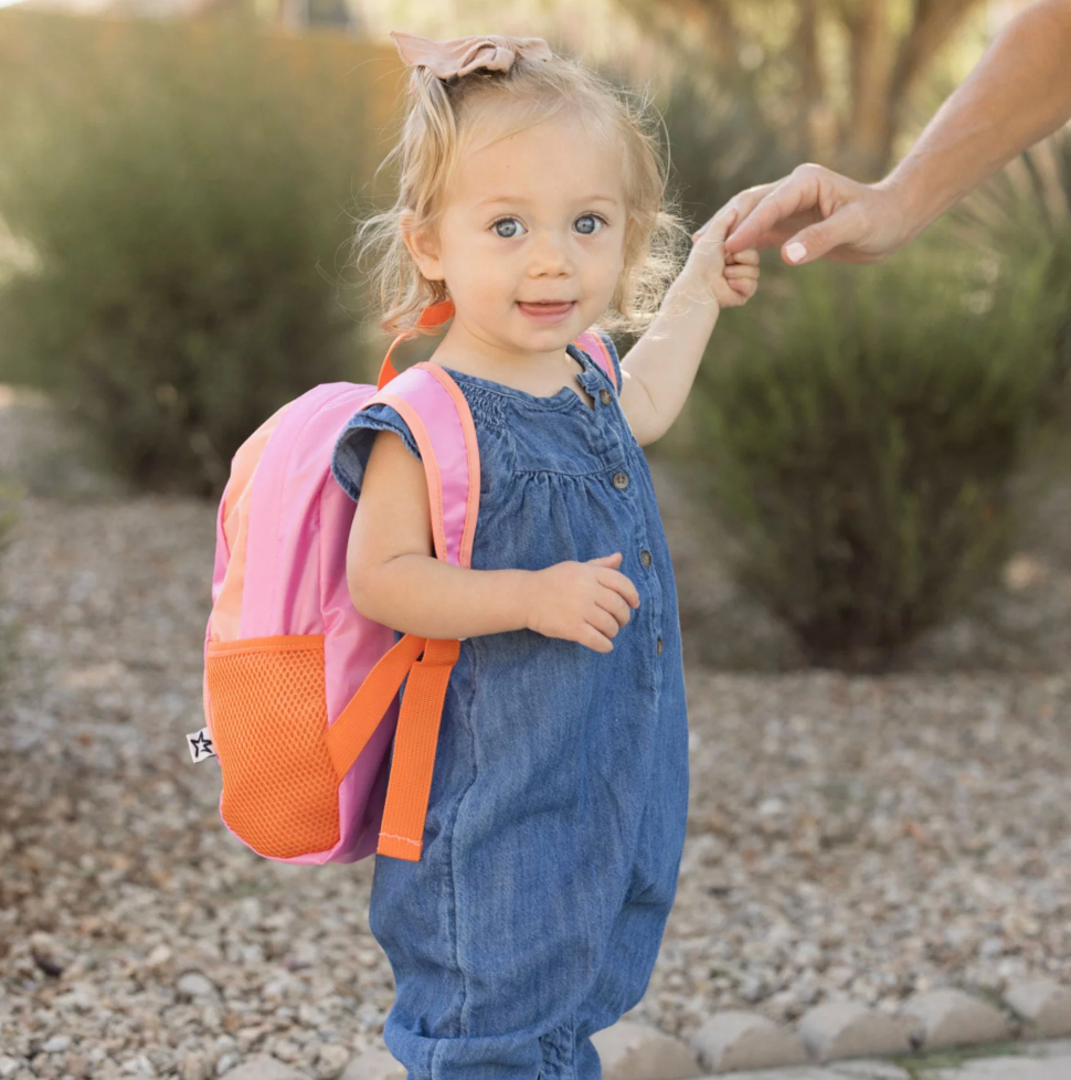 Toddler Fold Up Backpack