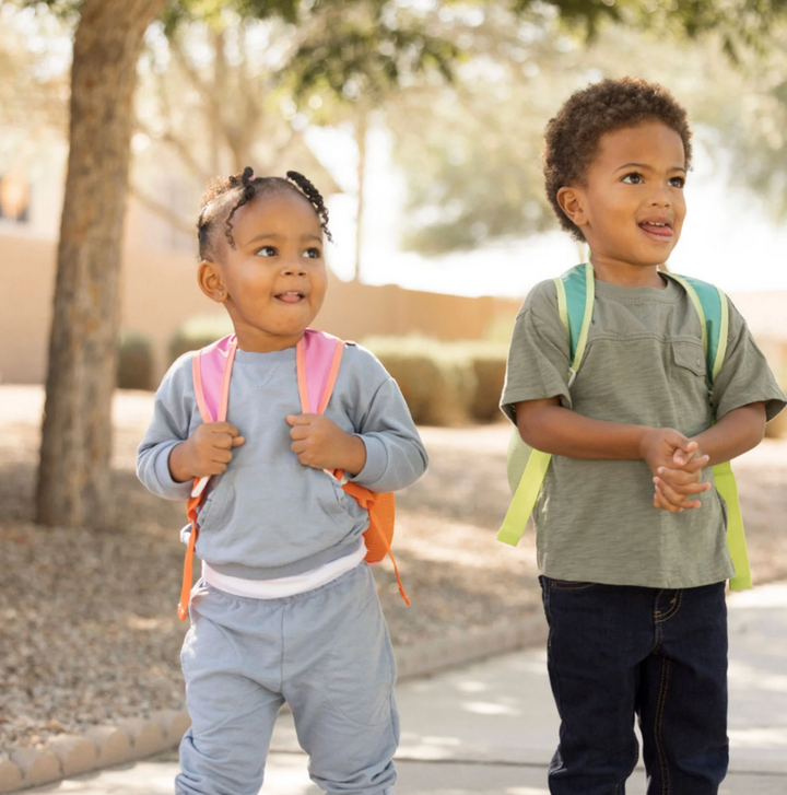 Toddler Fold Up Backpack
