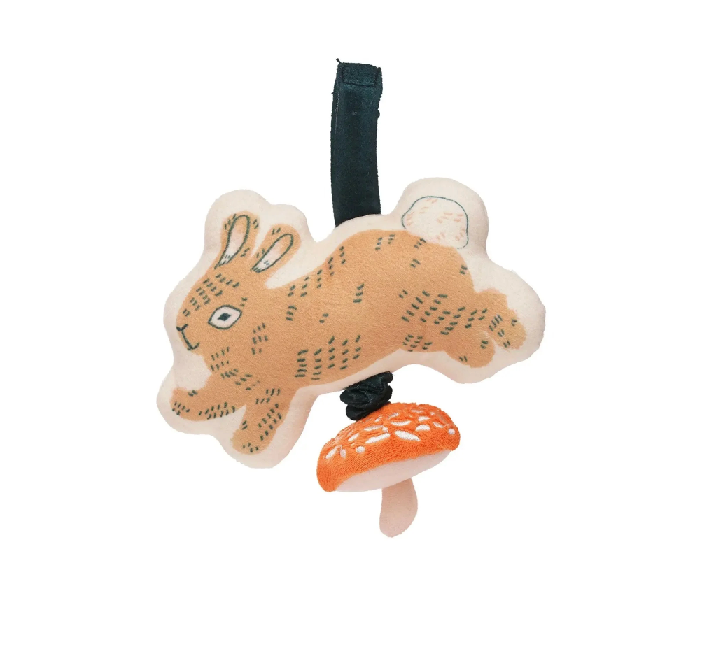 Pull Musical Toy