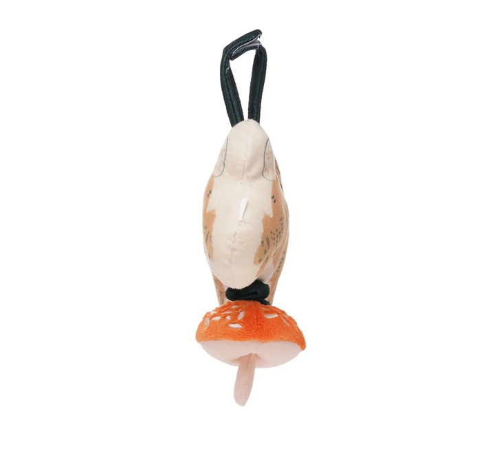 Pull Musical Toy
