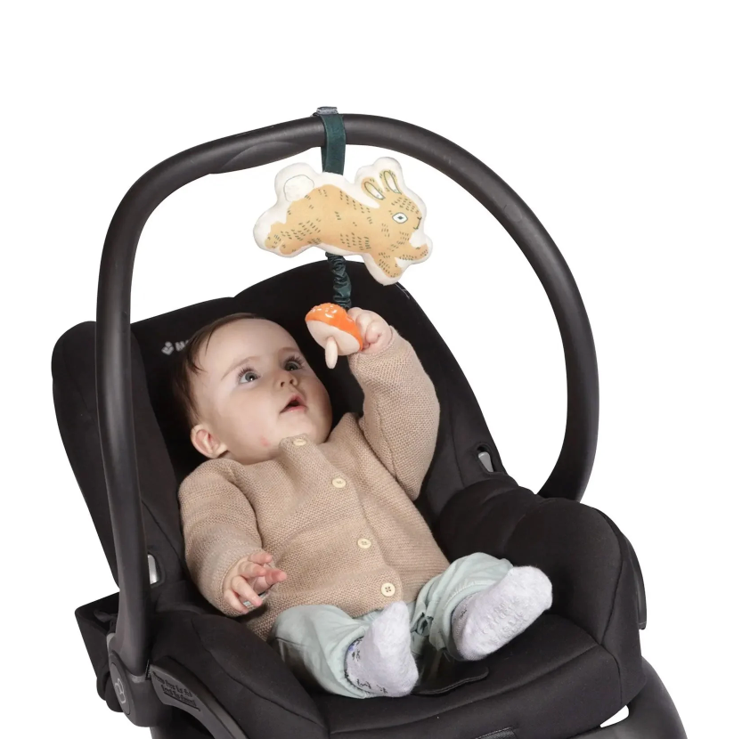 Pull Musical Toy