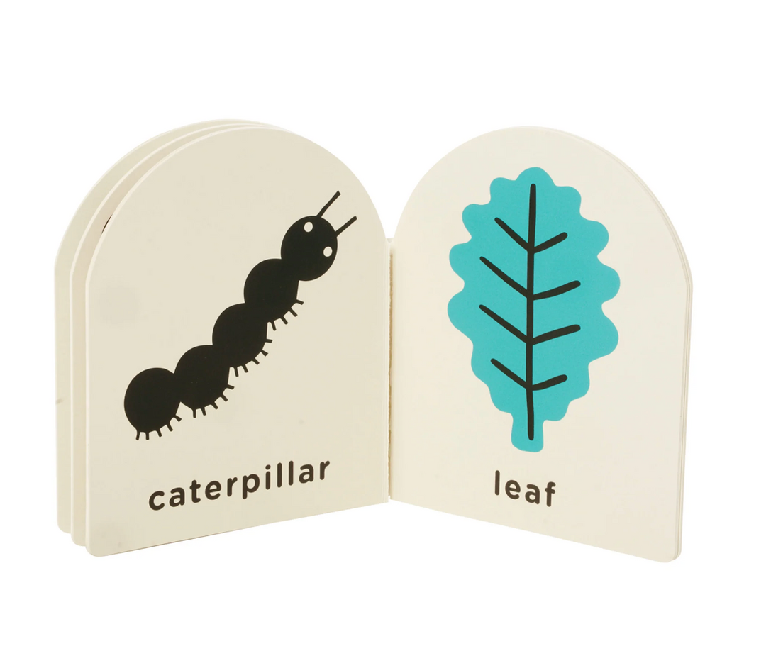 Wimmer See + Say Board Book