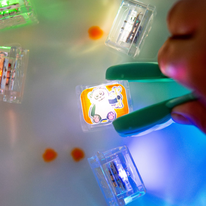 LIMITED EDITION / Light-Up Cubes - 6 pk