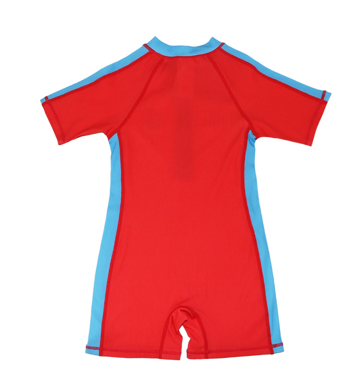 Short Sleeve 1 Piece Swimsuit