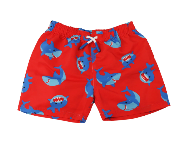 Printed Swim Shorts