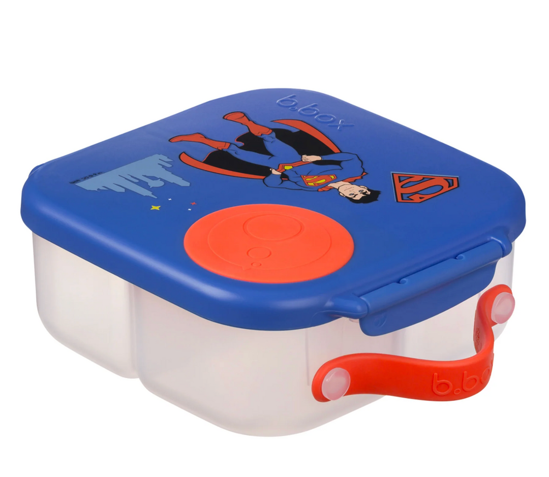 Mini Lunchbox