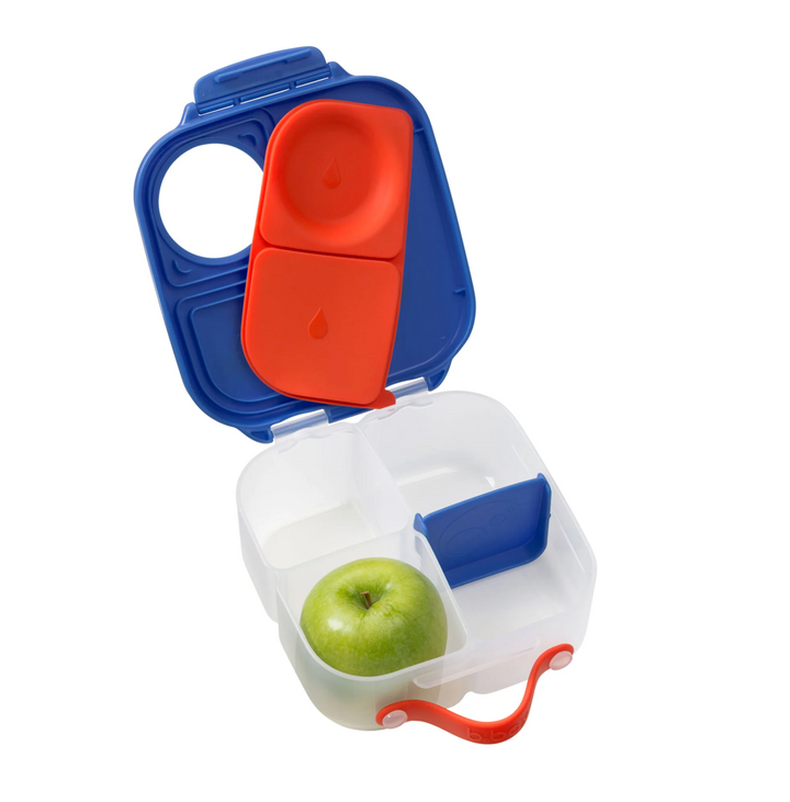 Mini Lunchbox