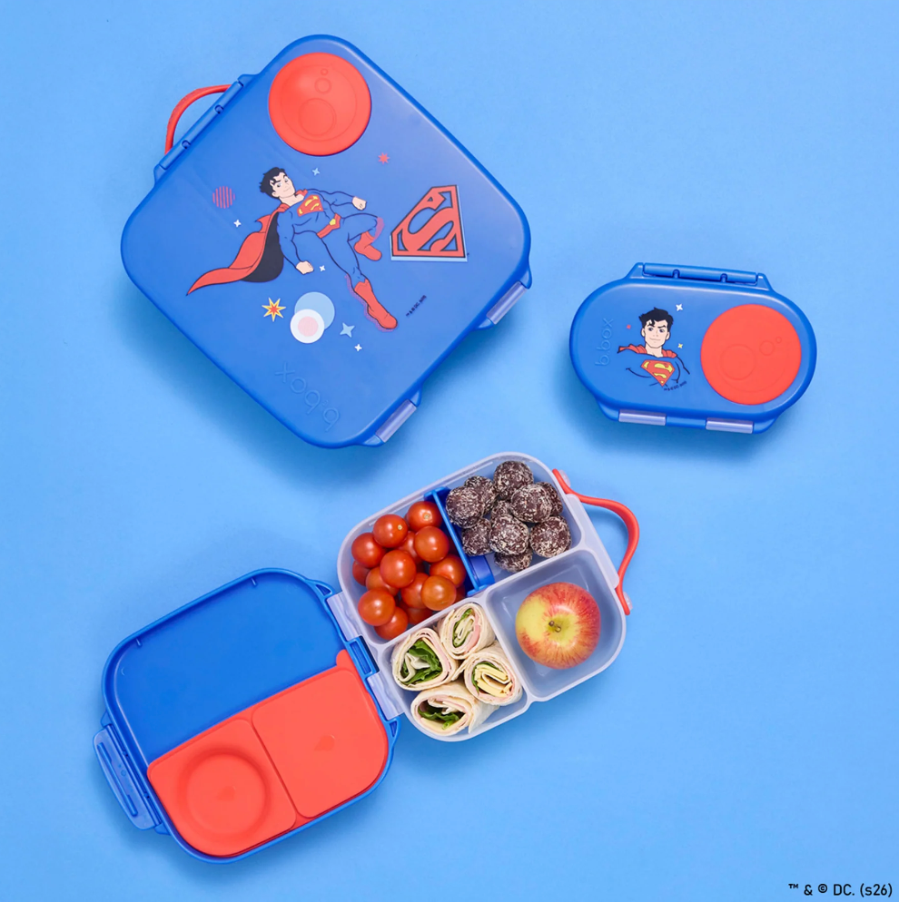 Mini Lunchbox