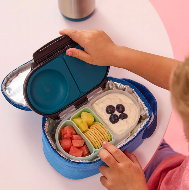 Insulated Snackbag