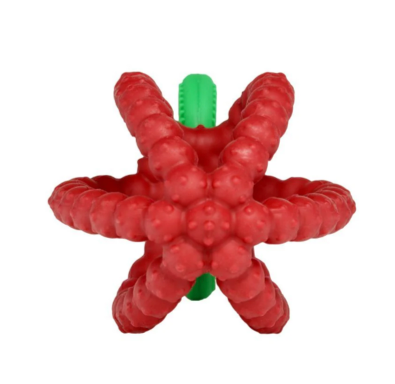 RaZberry Bites - Teething Toy