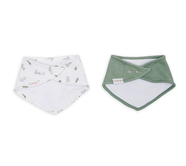 Bandana Bibs - 2pk