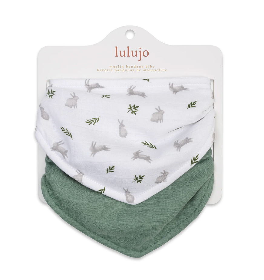 Bandana Bibs - 2pk