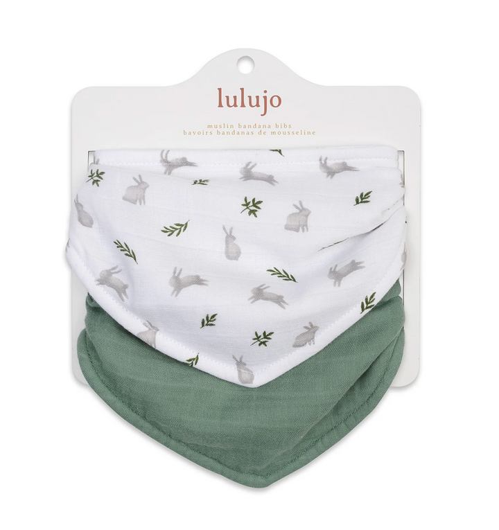 Bandana Bibs - 2pk
