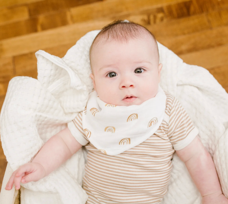 Bandana Bibs - 2pk