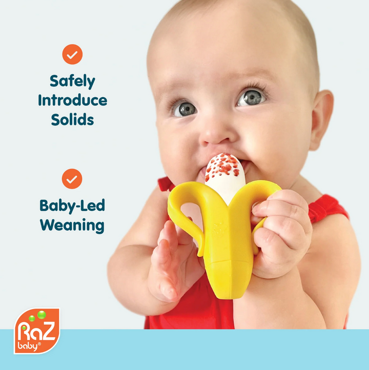 Fruitique Fruit Baby Feeder