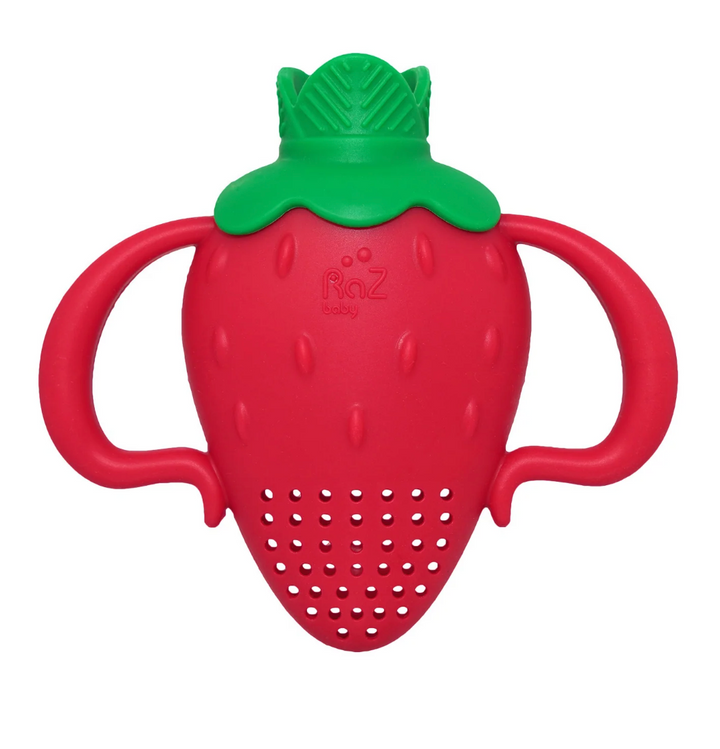 Fruitique Fruit Baby Feeder