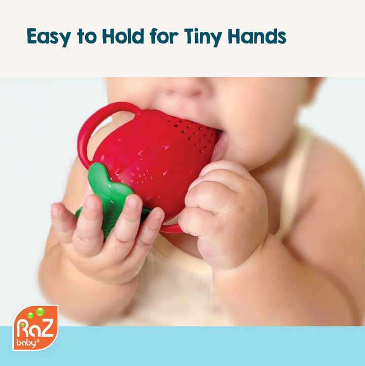Fruitique Fruit Baby Feeder