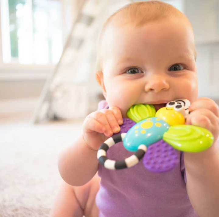 Flutterby Teether