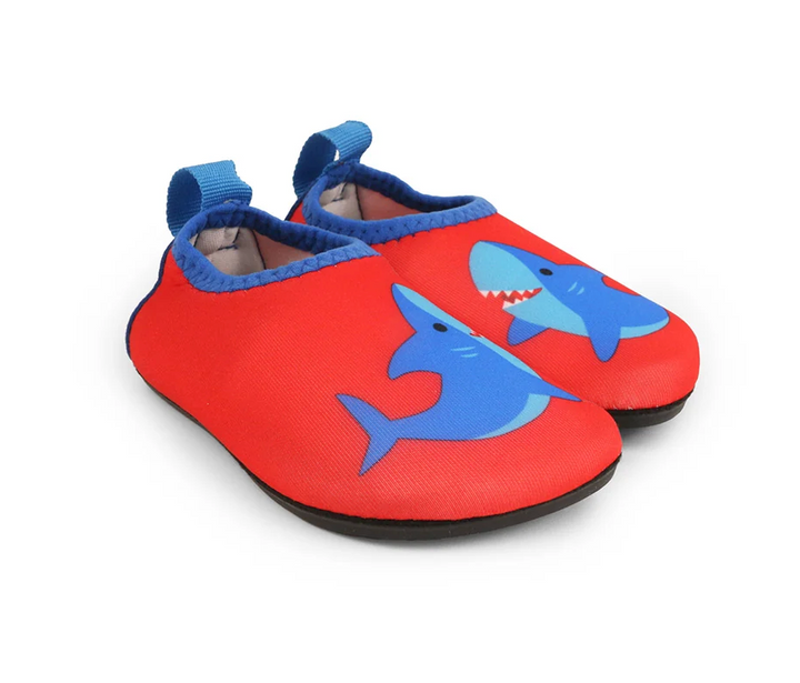 Aqua Shoe