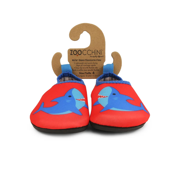Aqua Shoe