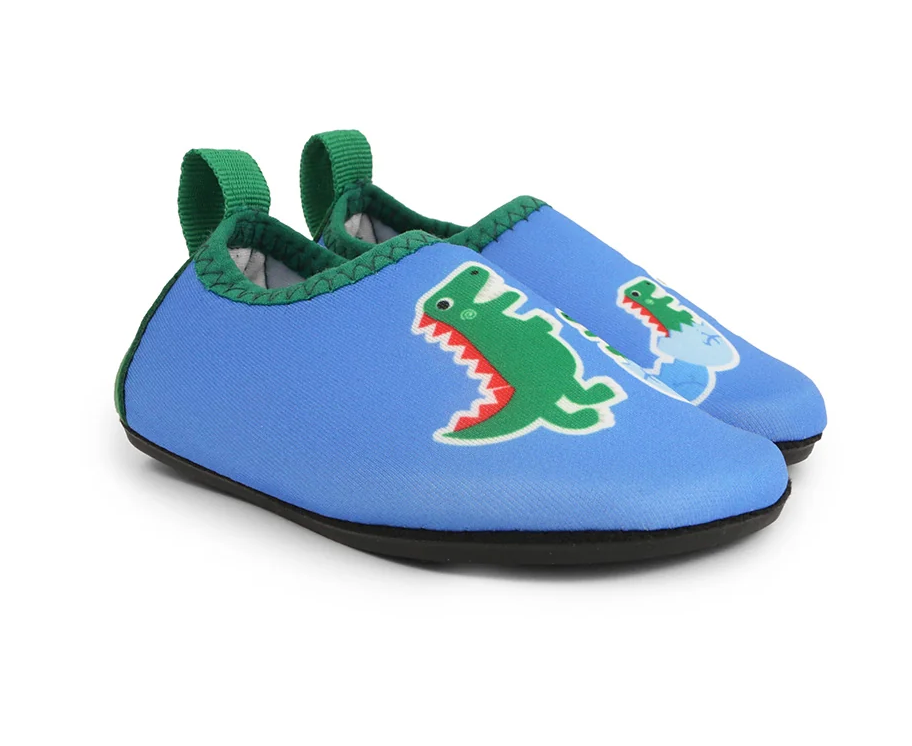 Aqua Shoe